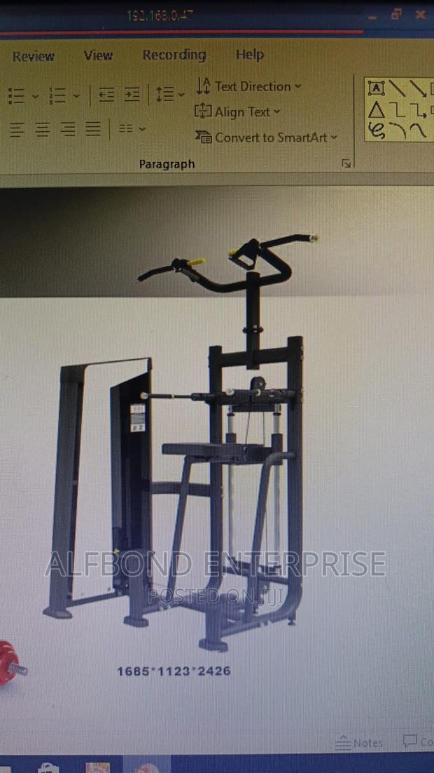 Commercial Assisted Dip/Chin Machine · Photo 4