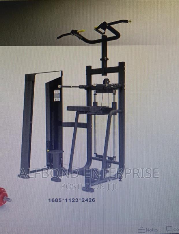Commercial Assisted Dip/Chin Machine · Photo 3