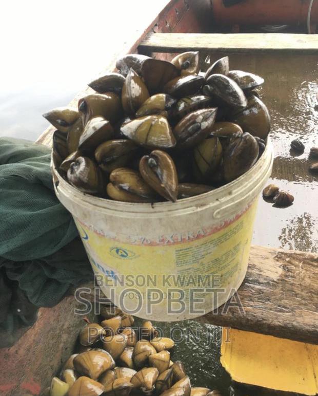 Fresh Oysters photo 3