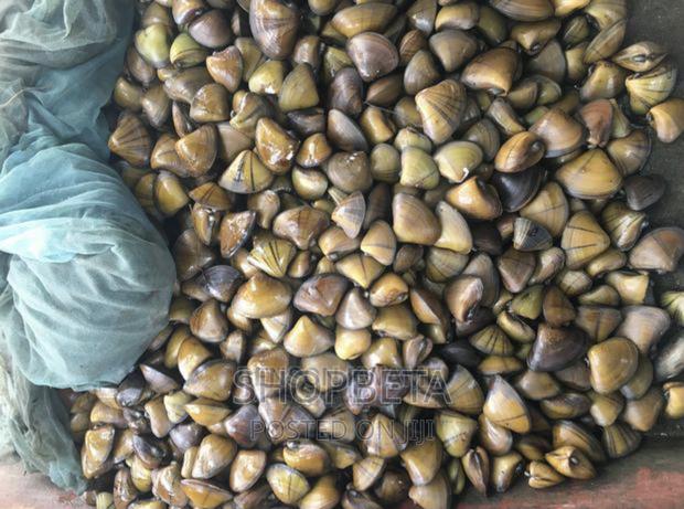Fresh Oysters photo 2