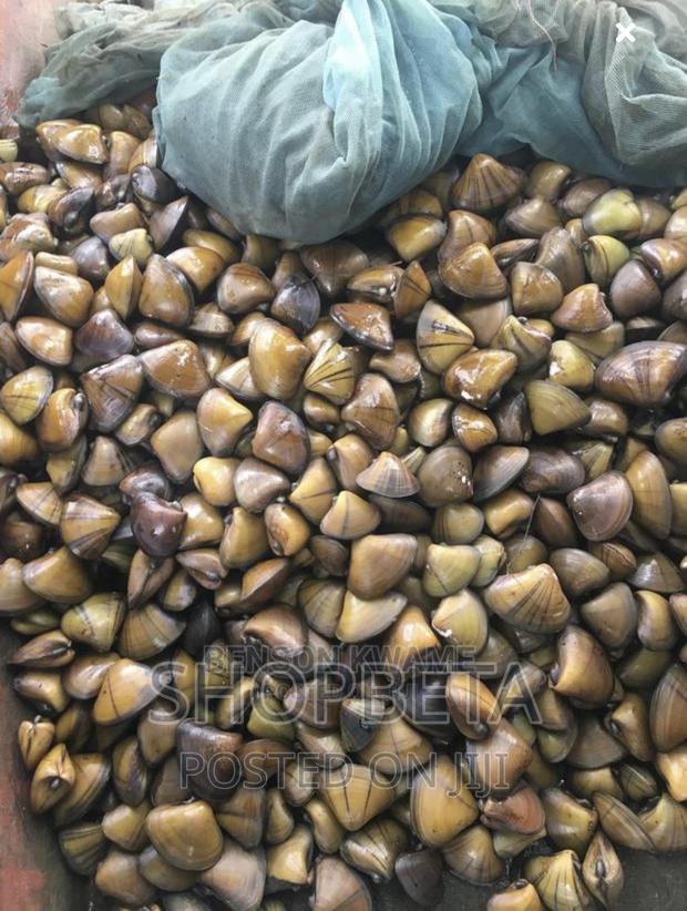 Fresh Oysters