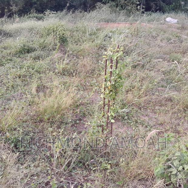 Land With 4bedrooms Footings for Sale at Queen of Peace · Photo 3