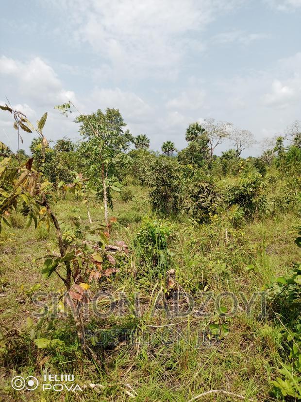 10,000 Acres of Farm Land for Sale or Lease