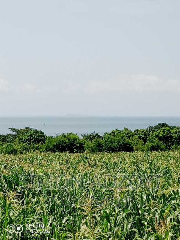 10,000 Acres of Farm Land for Sale or Lease