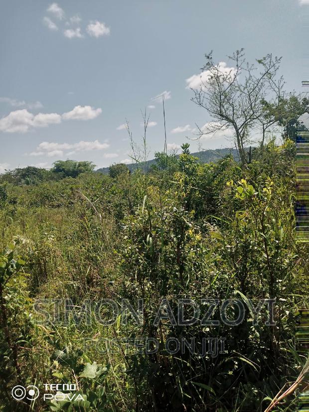 10,000 Acres of Farm Land for Sale or Lease