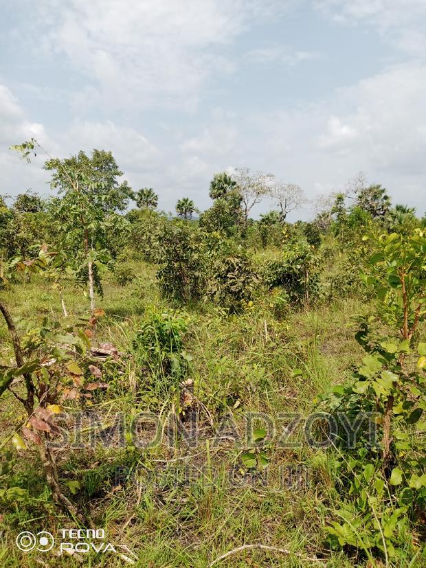 10,000 Acres of Farm Land for Sale or Lease