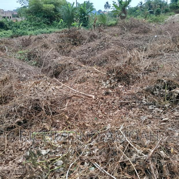 Half Plot for Sale at Mpintsin Plot Enterprise · Photo 2
