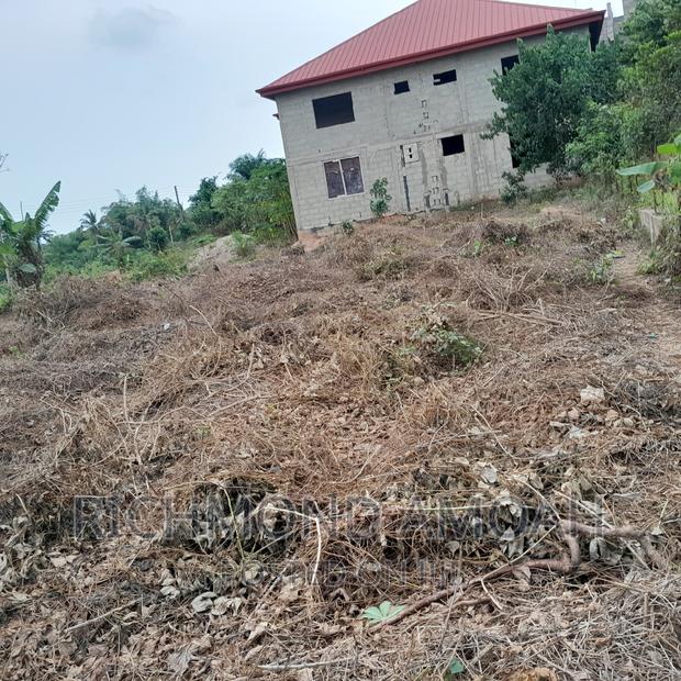 Half Plot for Sale at Mpintsin Plot Enterprise · Photo 3