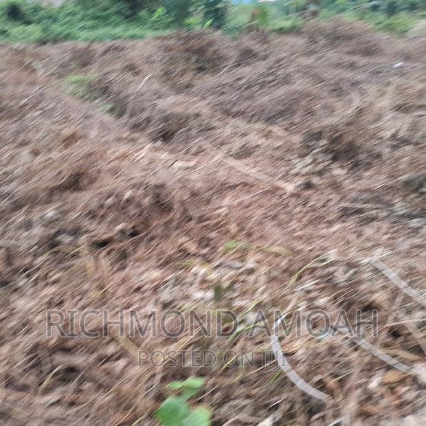 Half Plot for Sale at Mpintsin Plot Enterprise · Photo 4