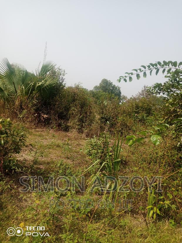 60,000 Acres of Farm Land in Kintampo