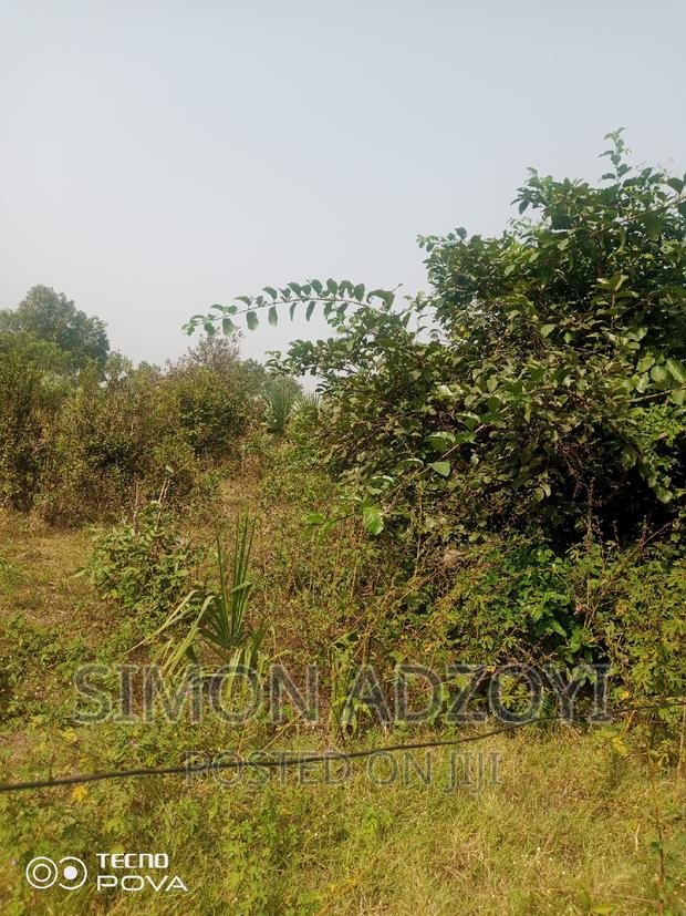 60,000 Acres of Farm Land in Kintampo