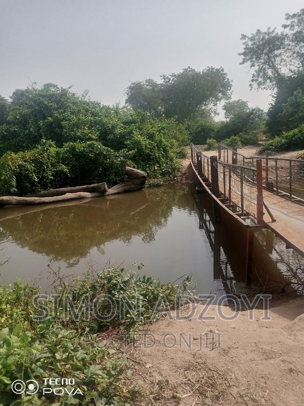 60,000 Acres of Farm Land in Kintampo