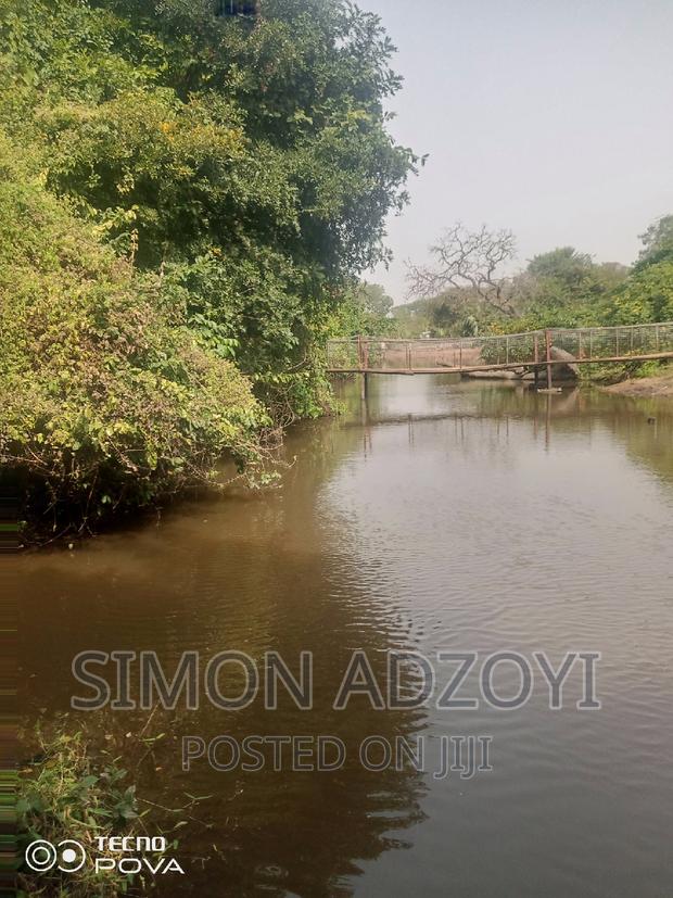 60,000 Acres of Farm Land in Kintampo