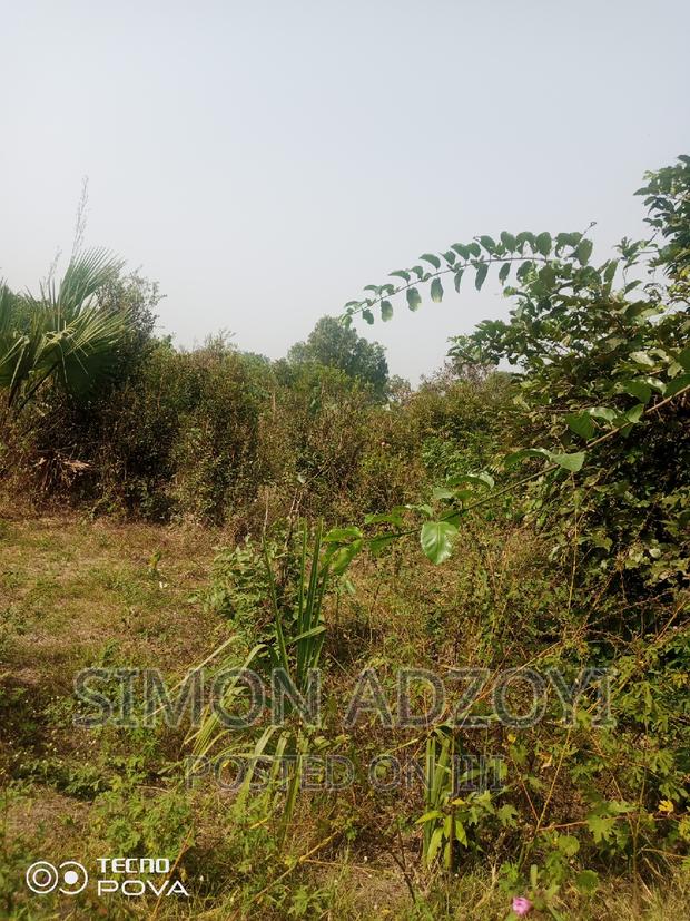 60,000 Acres of Farm Land in Kintampo