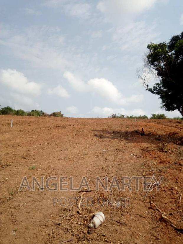 Land for Sale at Tsopoli · Photo 4