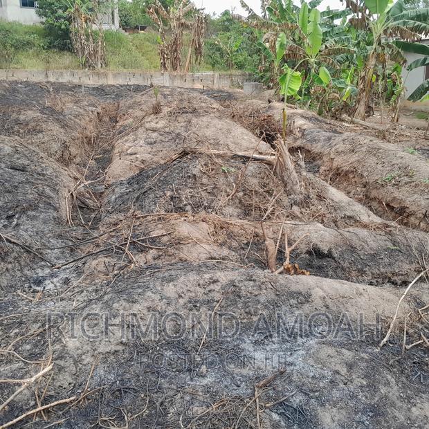 Half Plot for Sale at Queen of Peace · Photo 2