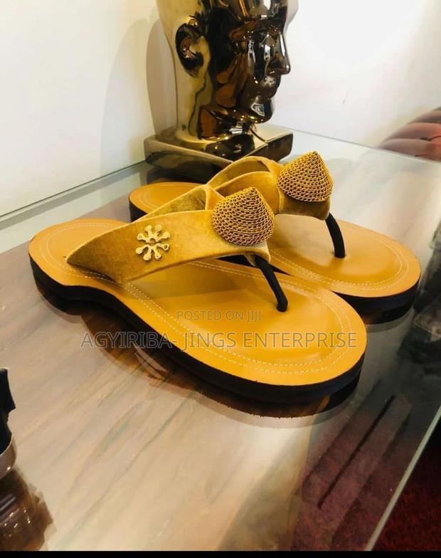 Brown Ahenema Slipper photo 2
