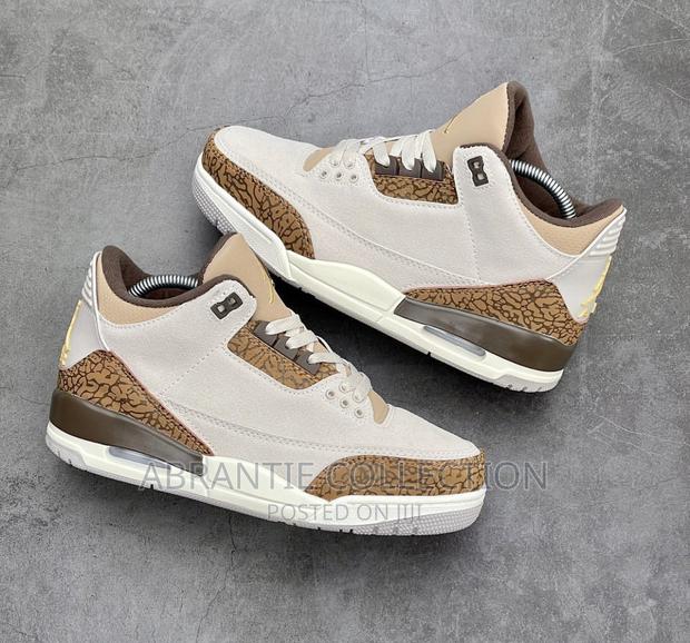 Air Jordan Retro 3 Palomino · Photo 3