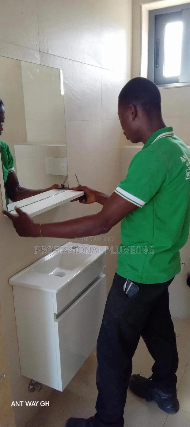 Professional Plumbing Works