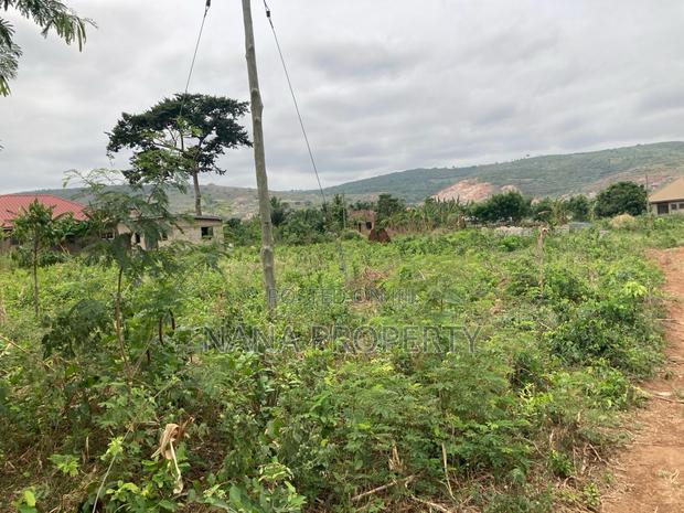 Five Acres of Land for Sale Located at Oyibi · Photo 4