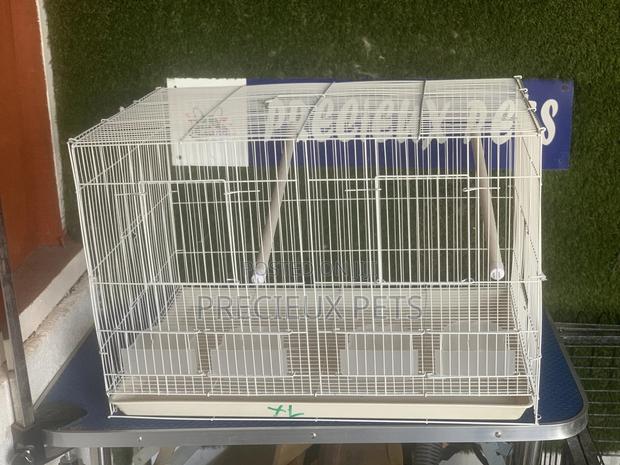 Twin Parrot and Parrakeets Cage Tag 003 · Photo 3