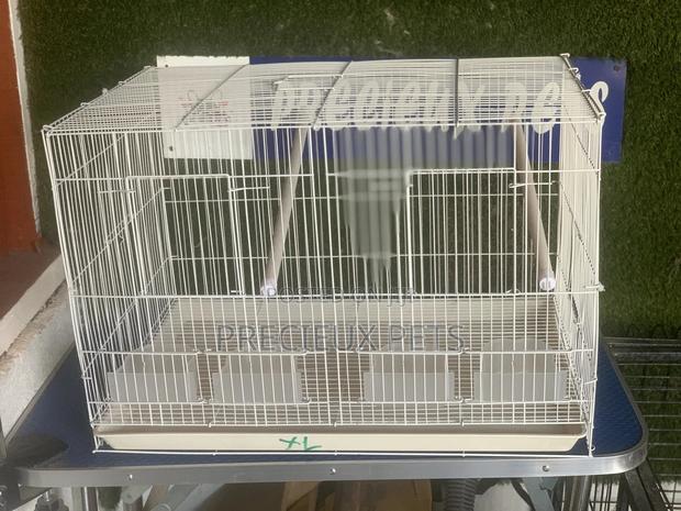 Twin Parrot and Parrakeets Cage Tag 003 · Photo 4
