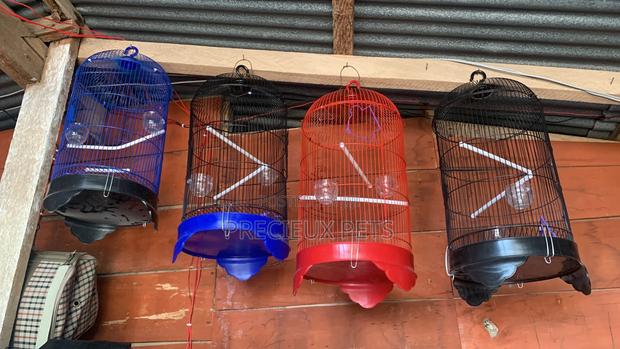 Parakeets Cage Series 00002 · Photo 2