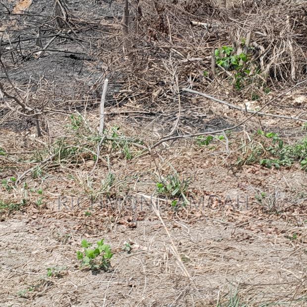 Plot for Sale at Anaji House of Bethel · Photo 2