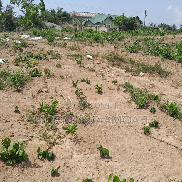 Half Plot for Sale at Kweikuma Estate · Photo 2