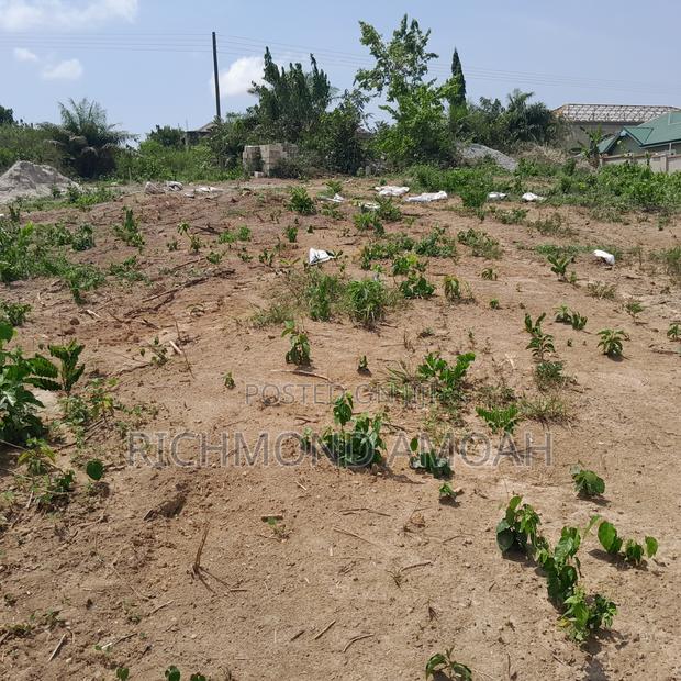 Half Plot for Sale at Kweikuma Estate · Photo 3