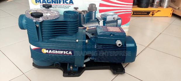 Italian Swimming Pool Pump · Photo 2