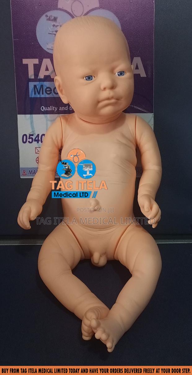 Baby Manikin Dummy (Male/Female) · Photo 4