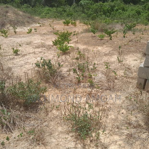 Full Plot for Sale at Queen of Peace Inside · Photo 1