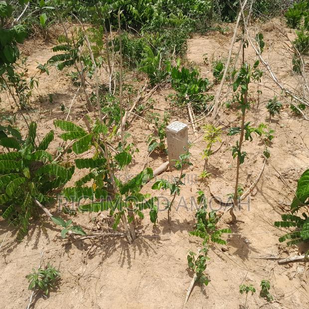 Plot for Sale at Queen of Peace · Photo 4