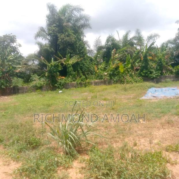 Half Plot for Sale at Nkroful _Katen Junction · Photo 2