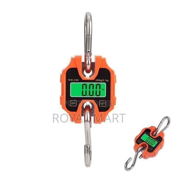 250kg Crane Scale · Photo 3