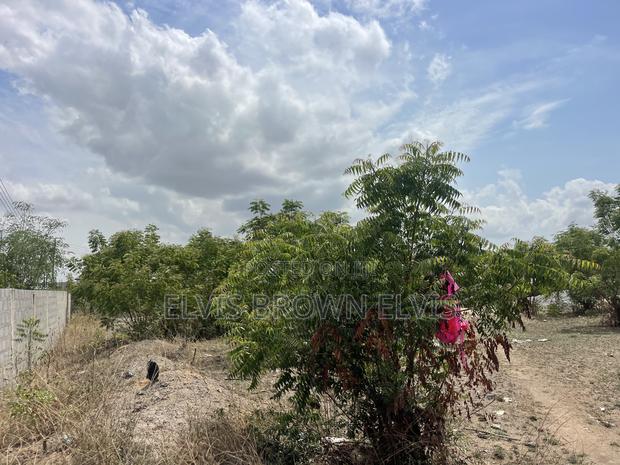 Do You Want to Live at West Trasacco in Future Call 4 Land · Photo 4
