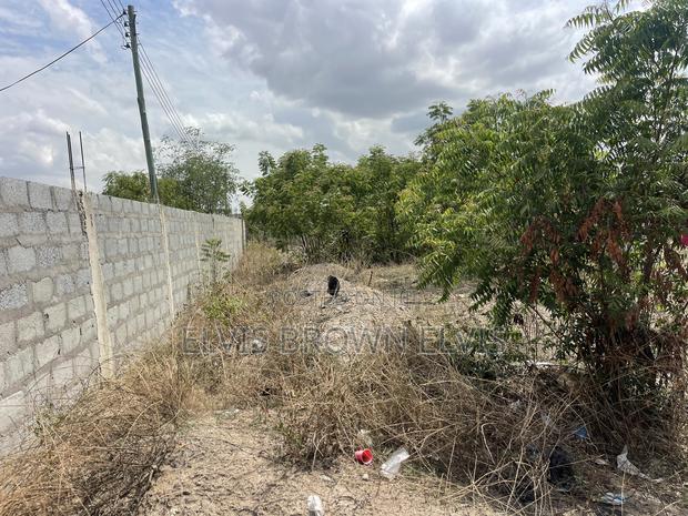 Buy 2 Plots of Land for Sale at West Trasacco Borteyman · Photo 4