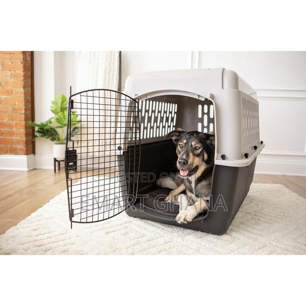 Dog Crate, Plastic Travel Pet Carrier for Pets 50-70 Lb photo 2