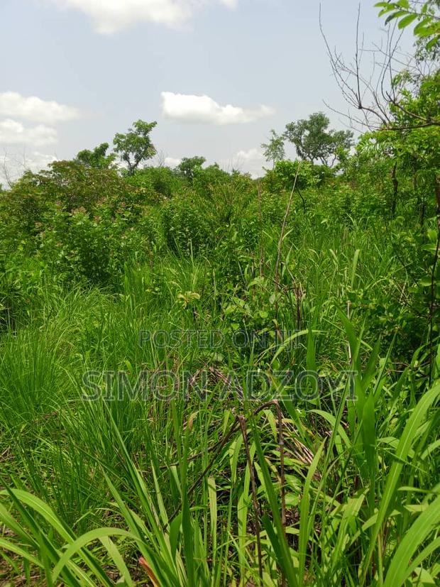 4000 Acres of Farm Land for Sale