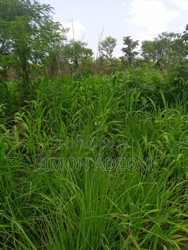 4000 Acres of Farm Land for Sale