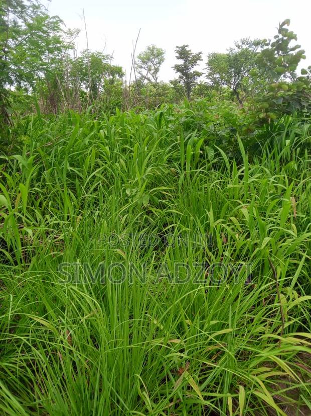 4000 Acres of Farm Land for Sale