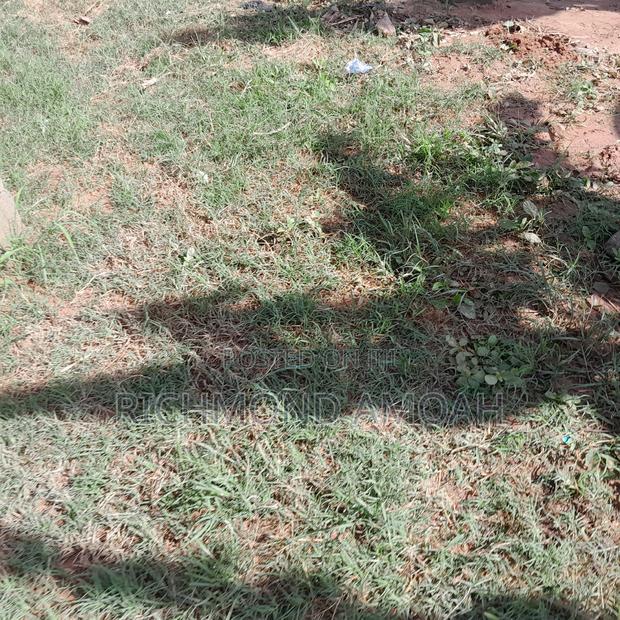 Half Plot for Sale at Ntankoful · Photo 1