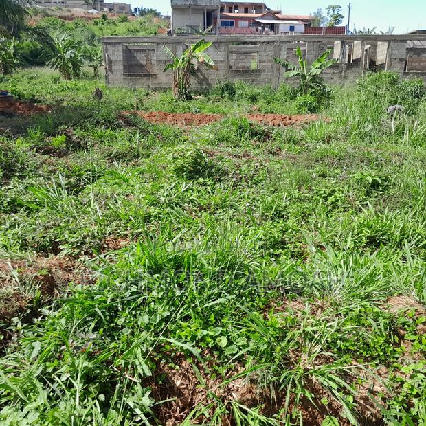 Half Plot for Sale at Ntankoful · Photo 2