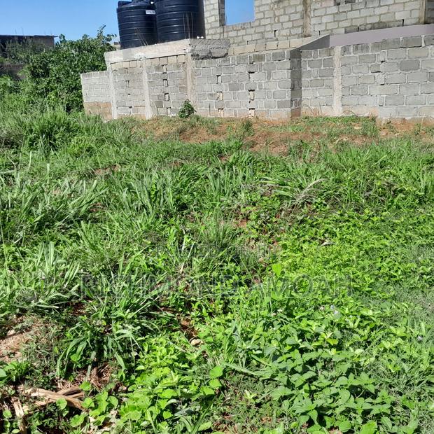 Half Plot for Sale at Ntankoful · Photo 3