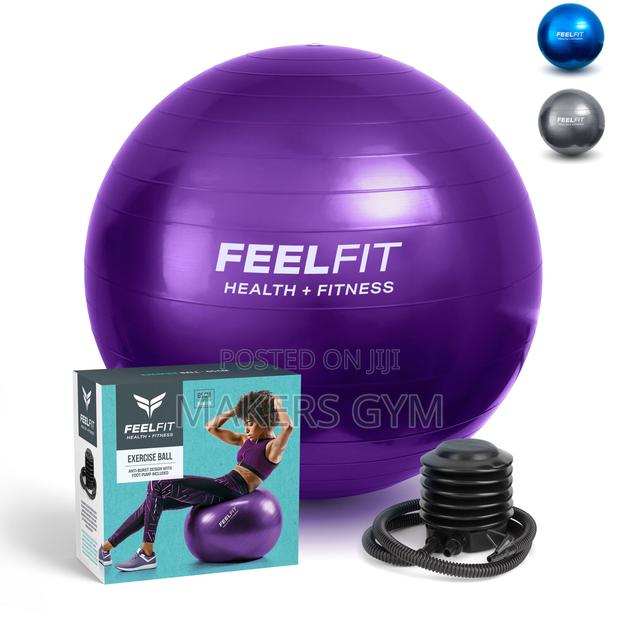 Gym Ball Swiss Pilates WITH Stability Pump Carry Bag 65cm · Photo 2