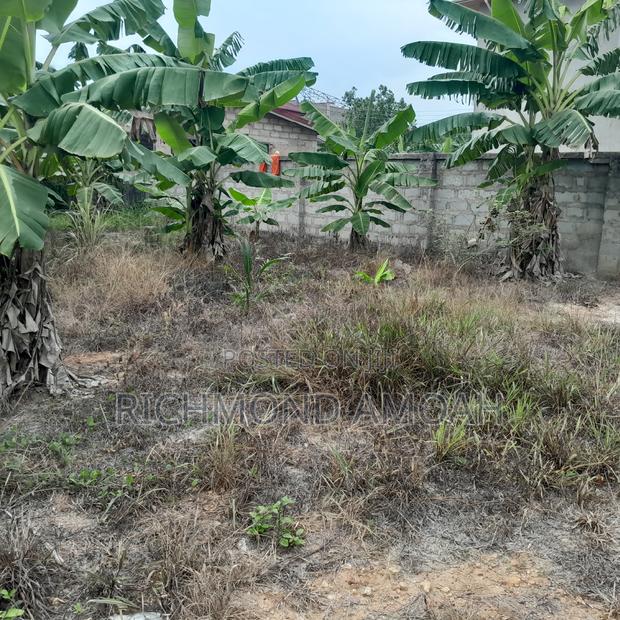 Plot for Sale at Essipon · Photo 1