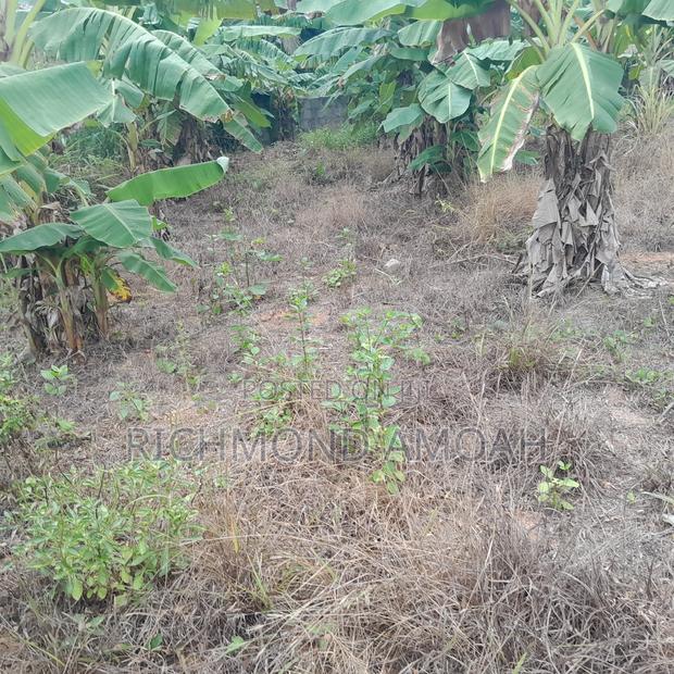 Plot for Sale at Essipon · Photo 2