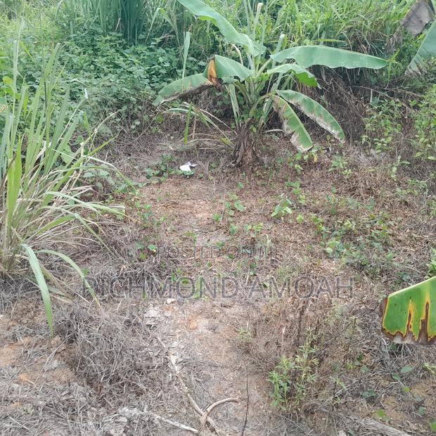 Plot for Sale at Essipon · Photo 3