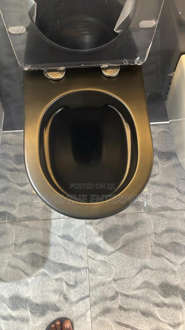 Black Concealed Water Closet · Photo 4